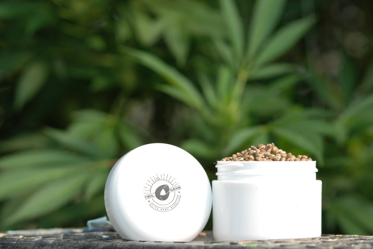 FDA Rules CBD is Not a Dietary Supplement
